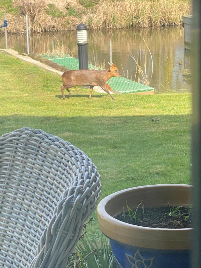 Otters End, Near Wroxham Apartment Dilham Exterior foto